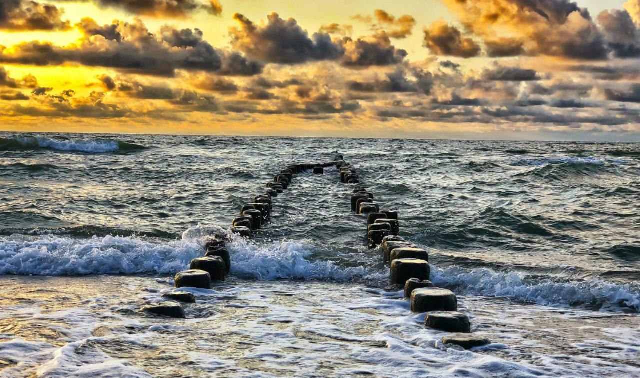 Pod Debami Wicie- Domki Drewniane Nad Morzem Wicie  Buitenkant foto